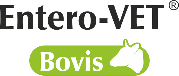 Entero_VET_Bovis